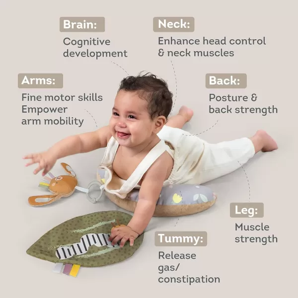 Taf Toys Tummy Time Training Set with Tummy Time Pillow 03 monthsRattle Bunny ampamp Crinckle Leaf Toys for 06 Months Development Newborn Baby Pillow Tumy Time Toys Sensory Toys Baby Toys 06 Months