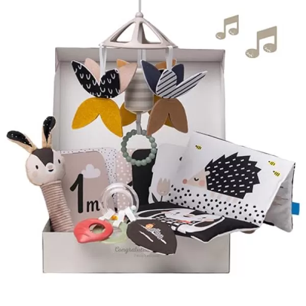 Taf Toys Black and White Newborn Kit  10 Black and White Baby Toys High Contrast Baby Toys for Newborn Baby Essentials Must Haves Tummy Time Toys for Motor Skills Infants Babies 0 3 6 Months