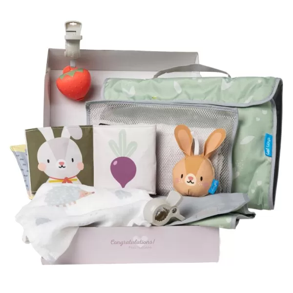Taf Toys Newborn Bedtime Kit  Ultimate with 12 Activities for a Smooth Bedtime Routine  includes Music and Light Unit  Ideal New Baby Boy or Girl Bedtime kitOutdoor Kit