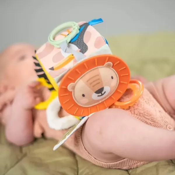 imageTaf Toys Discovery Cube Newborn and Baby Developmental Activity Toy Use on Strollers Bassinets Crib ampamp Car Seats with A Mirror Teether Curiosity Booster for Ages 36 Months