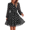 Dot Black White