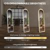 image:imageSweetcrispy Full Length Mirror with LED Lights 61x17 Lighted Floor Mirror with Dimming amp 3 Color Lighting Stand for Bedroom Dressing RoomArched