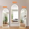image:imageSweetcrispy Full Length Mirror with LED Lights 61x17 Lighted Floor Mirror with Dimming amp 3 Color Lighting Stand for Bedroom Dressing RoomArched