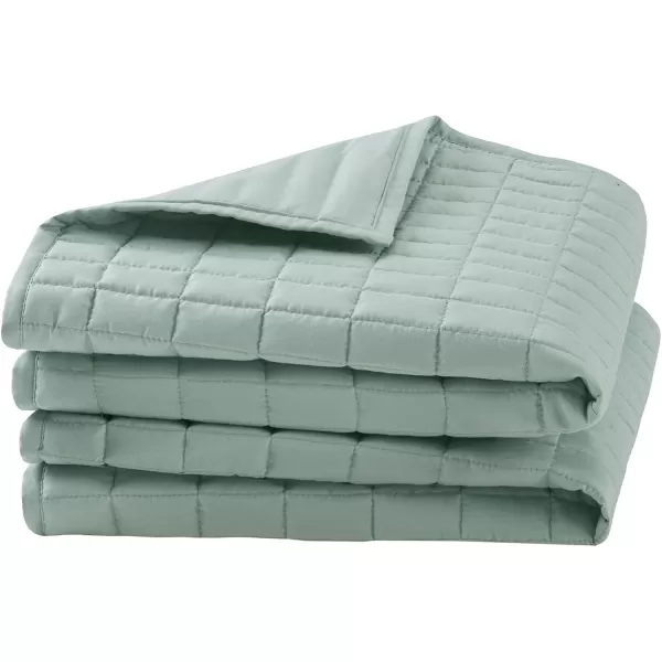 Comfort Spaces Kienna Quilt SetLuxury Double Sided Stitching Design Summer Blanket Lightweight Soft All Season Bedding Layer Matching Sham Blue Coverlet TwinTwin XL66quotx90quot 2 PieceSage Green