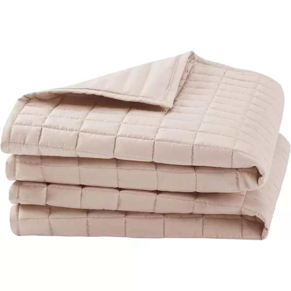 Comfort Spaces Kienna Quilt SetLuxury Double Sided Stitching Design Summer Blanket Lightweight Soft All Season Bedding Layer Matching Sham Blue Coverlet TwinTwin XL66quotx90quot 2 PieceBlush