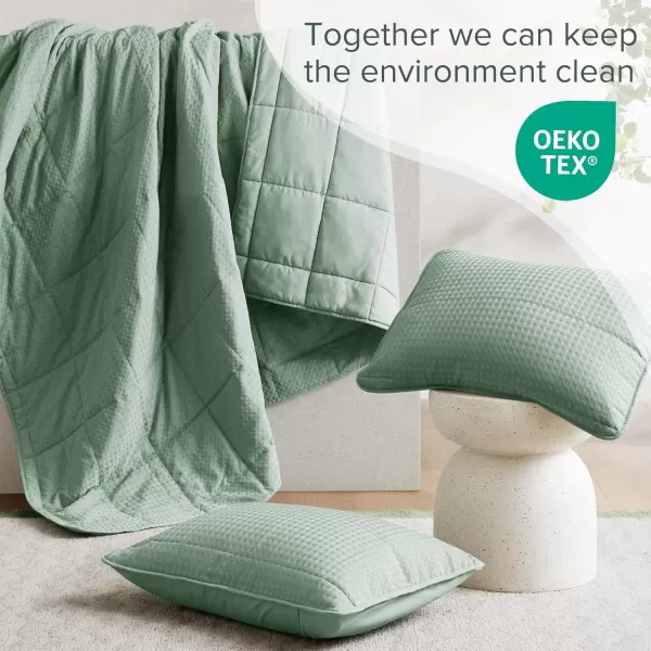 Comfort Spaces Neutral Queen Quilt Set  3 Pieces Breathable Waffle Weave Quilt Sets with Piping Border Modern Farmhouse Cottage Coverlet ampamp Sham All Season Microfiber Queen Bed Set FullQueenGreen