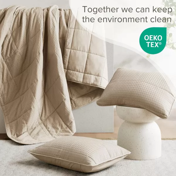Comfort Spaces Neutral Queen Quilt Set  3 Pieces Breathable Waffle Weave Quilt Sets with Piping Border Modern Farmhouse Cottage Coverlet ampamp Sham All Season Microfiber Queen Bed Set FullQueenNatural