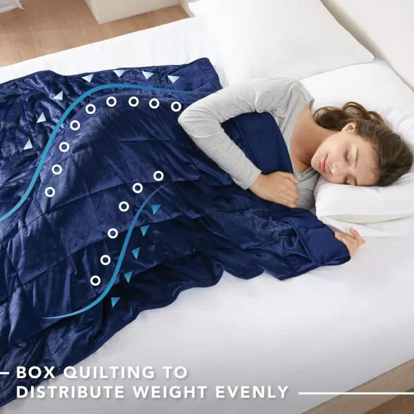 Comfort Spaces Reversible Weighted Blanket AdultGlass Beads Filling All Season Soft Heavy WrapsBox Quilted Cozy Warm Bed Cover 48quotx72quot  15lbs Mink to Microfiber GreyNavy