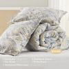 imageComfort Spaces Bed in A Bag Comforter Set  Trendy Casual Design Queen Comforter with Complete Sheet Set with Side Pocket All Season Comforter Queen Shams Gloria Queen GreyYellow 9 PieceGrayYellow