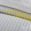 imageComfort Spaces Boho Quilt Set Queen Reversible Vermicelli Quilting Queen Size Bed All Season Lightweight Coverlet Winter Layer Bedding Shams Gloria FullQueen Green 3 PieceYellow