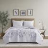 imageComfort Spaces Boho Quilt Set Queen Reversible Vermicelli Quilting Queen Size Bed All Season Lightweight Coverlet Winter Layer Bedding Shams Gloria FullQueen Green 3 PieceKate Purple