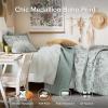 imageComfort Spaces Boho Quilt Set Queen Reversible Vermicelli Quilting Queen Size Bed All Season Lightweight Coverlet Winter Layer Bedding Shams Gloria FullQueen Green 3 PieceGreen