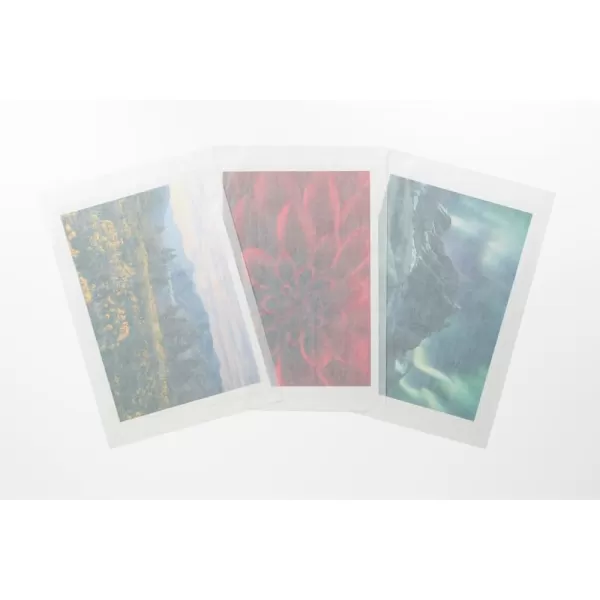 Canson Infinity Archival Box for Images and Documents up to 13 x 19 inches Fits 13 x 19 Inch Sheets BlackHolds Photos up to 13X19