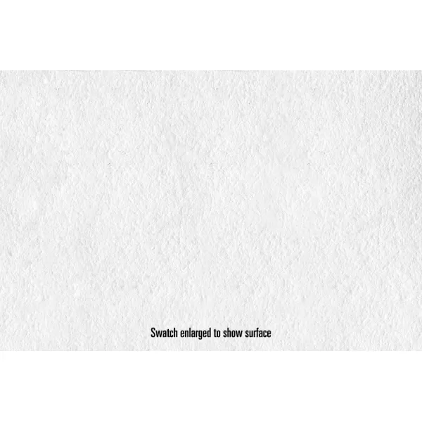 imageCanson Infinity Platine Fibre Rag Fine Art Paper 310 Gram  11 x 17 Inch 25 Sheets11X17