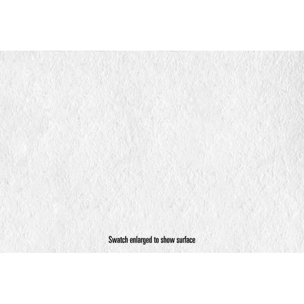 imageCanson Infinity Platine Fibre Rag Fine Art Paper 310 Gram  11 x 17 Inch 25 Sheets17X50