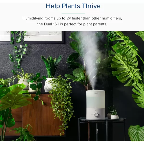 imageLEVOIT Humidifiers for Bedroom Quiet 3L Water Tank Cool Mist Top Fill Essential Oil Diffuser with 25Watt for Home Large Room 360 Nozzle Rapid Ultrasonic Humidification for Baby Nursery and PlantWhite with Nightlight