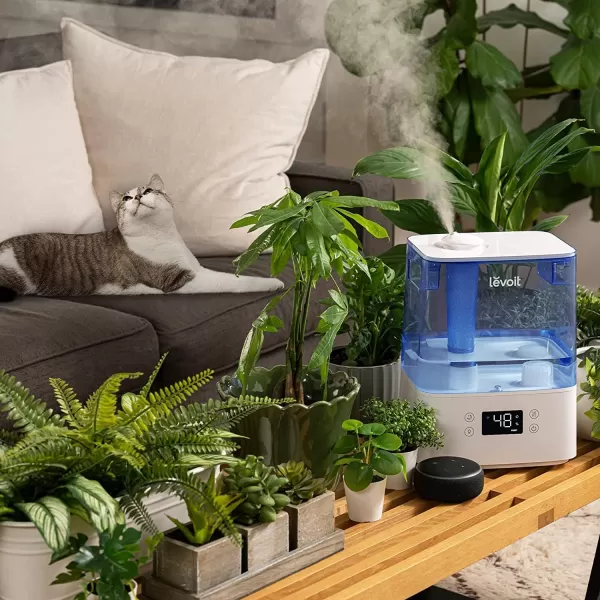 imageLEVOIT Smart Humidifiers for Bedroom Large Room Home6L Cool Mist Top Fill Essential Oil Diffuser for Baby ampamp PlantsSmart App ampamp Voice Control Rapid Humidification ampamp Auto ModeQuiet Sleep Mode GrayBlue