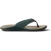 imageREEF Mens Offshore FlipFlopKelp and Sand