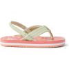 imageREEF Little Ahi UnisexChild Beach Flip Flop Soft Cushion Footbed Water Friendly BackstrapCitrus Fruit