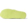 image:imageREEF Vista Vay CayLime Sherbet