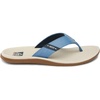 Oat-blue-gum
