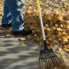 imageSeasonal CleanUp Bundle Bow Floral and Large Leaf Rakes and Action Hoe