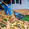 imageTrue Temper Poly Leaf Rake Pack of 2