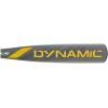 image:imageTrue Temper True Temper 2023 Dynamic 10 USSSA 2 34 Baseball BatGrayGold