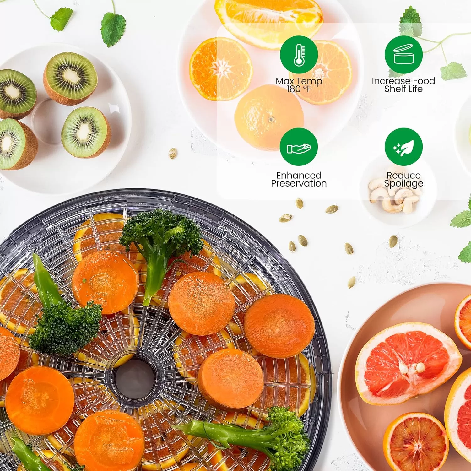 imageNutriChef Food Dehydrator  Dehydrate Beef Jerky Meat Mushrooms Fruits ampamp Vegetables at Home  Utilizes HighHeat Circulation for Even Dehydration  Includes 5 EasytoClean Trays  WhiteWhite