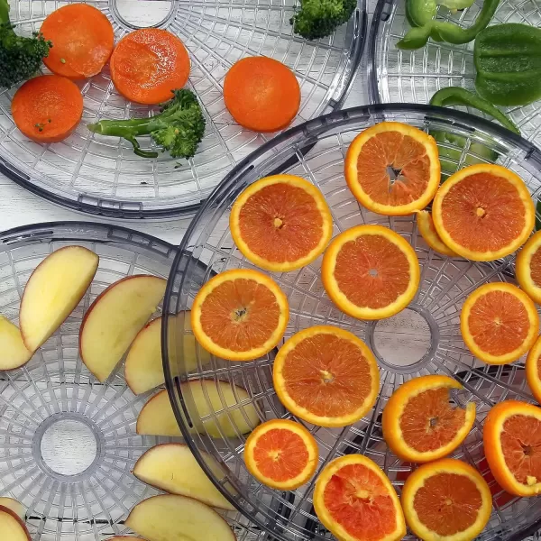 imageNutriChef Food Dehydrator  Dehydrate Beef Jerky Meat Mushrooms Fruits ampamp Vegetables at Home  Utilizes HighHeat Circulation for Even Dehydration  Includes 5 EasytoClean Trays  WhiteBlack