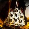 imageNutriChef Glass Whiskey Decanter  850ml Globe Whiskey Carafe Alcohol Decanter Set with Glasses  Liquor Decanter w Stopper ampamp Base For Brandy Wine Cognac Rum Gin Scotch BourbonGlobe