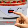imageNutriChef Dehydrator Machine Professional Electric MultiTier Food Preserver Meat or Beef Jerky Maker Fruit ampamp Vegetable Dryer with 4 Stackable Trays PKFD08