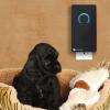imageGermGuardian Elite Pluggable UV Sanitizer and Odor Reducer Black Onyx GG1100BBlack