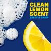 imageDawn Powerwash Spray Dish Soap Dishwashing Liquid Cleaning Supplies Lemon 1 Starter Kit  3 Refills 4 units of 16oz 64oz16 Fl Oz Pack of 4