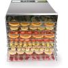 imageAroma Housewares AROMA Professional 10 Tray Digital Food Dehydrator AFD1000SD Stainless Steel