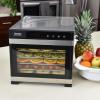 imageAroma Housewares Professional AFD965SD Food Dehydrator 6  Tray Stainless Steel Black