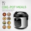 imageAroma Housewares ARC994SB Rice ampamp Grain Cooker Slow Cook Steam Oatmeal Risotto 8cup cooked4cup uncooked2Qt Stainless Steel ampamp Aroma 6cup 15 Qt One Touch Rice Cooker White 15 Qt