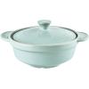 imageAroma Housewares DoveWare Stew Pot 25 Quart Slate GrayPastel Blue