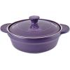 imageAroma Housewares DoveWare Stew Pot 25 Quart Slate GrayPlum Purple