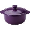 imageAroma Housewares DoveWare Stew Pot 25 Quart Slate GrayPlum Purple
