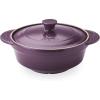 imageAroma Housewares DoveWare Stew Pot 25 Quart Slate GrayPlum Purple