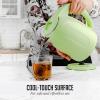 imageOVENTE Portable Electric Kettle Stainless Steel Instant Water Boiler Heater 17 Liter 1100W Double Wall Insulated Fast Boiling with Automatic Shut Off for Coffee Tea ampamp Cold Drinks White KD64WGreen