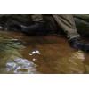 imageFROGG TOGGS Womens Rana Elite Waterproof Wading Boot for FishingLug Brown