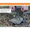 imageFROGG TOGGS Mens Hunting BootsRealtree Edge