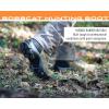 imageFROGG TOGGS Mens Hunting BootsRealtree Edge
