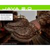 imageFROGG TOGGS Mens Java Casual ShoeRealtree Max7