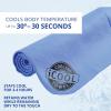 imageFROGG TOGGS iCOOL PVA Cooling Towel2 Count