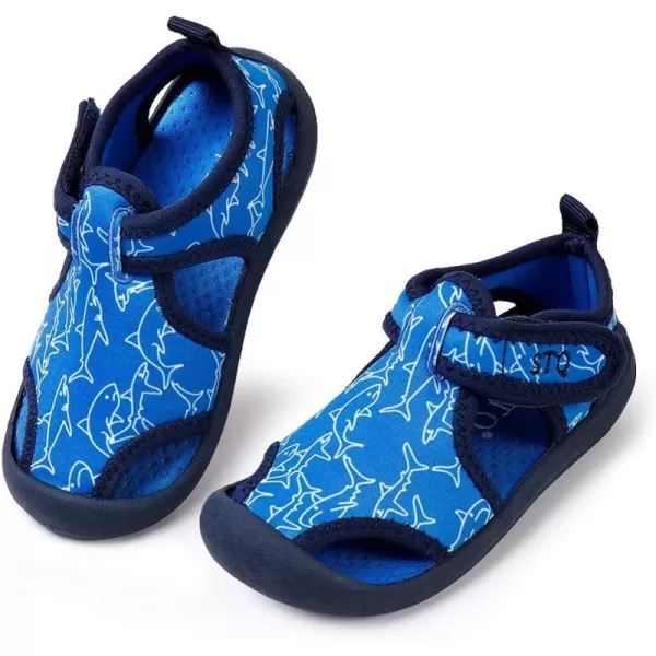 Royal Blue/Shark