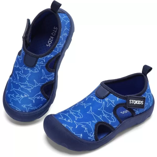 Sapphire Blue Shark