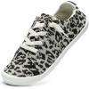 Grey Leopard